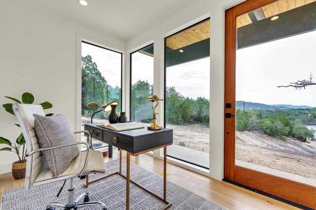 18408 F M Road 1431, Jonestown, TX 78645 - home office featuring wood finished floors