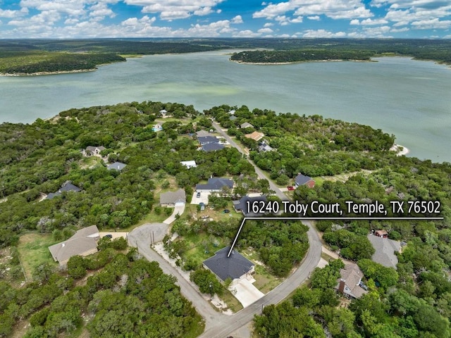 16240 Toby Ct, Temple, TX 76502 - view of property location featuring a nearby body of water, a forest, and nearby suburban area