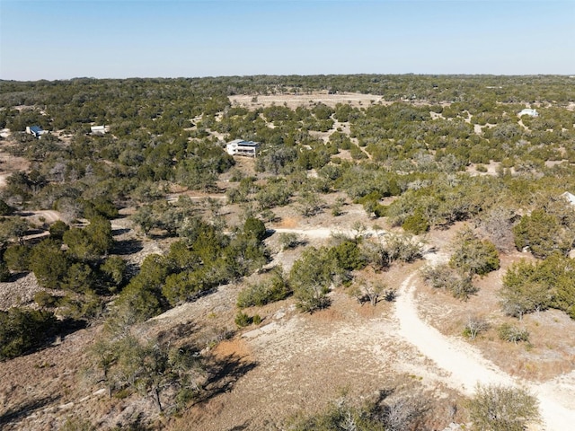 141 Hill Cv, Dripping Springs, TX 78620 - aerial overview of property's location
