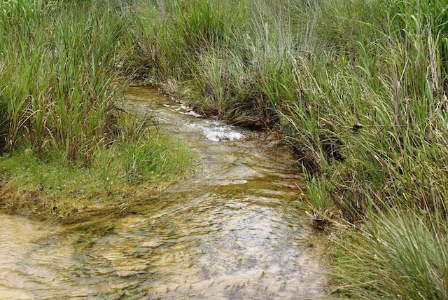 141 Hill Cv, Dripping Springs, TX 78620 - view of local wilderness