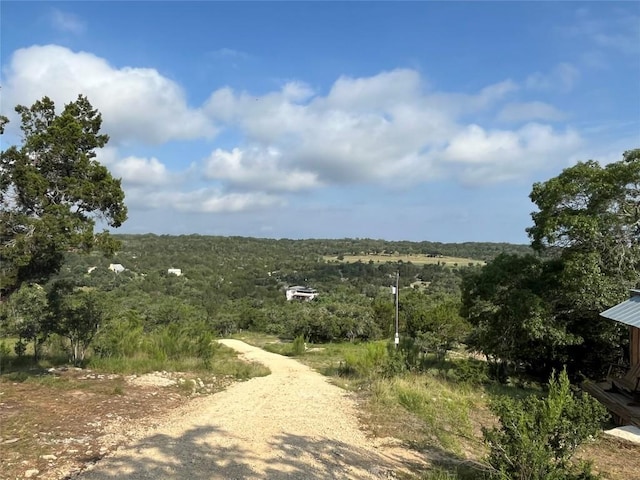 141 Hill Cv, Dripping Springs, TX 78620 - view of street featuring a wooded view