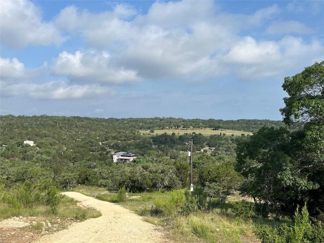 141 Hill Cv, Dripping Springs, TX 78620 - mountain view with a heavily wooded area