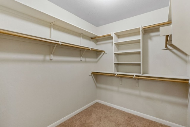 1610 Discovery Blvd, Cedar Park, TX 78613 - walk in closet with carpet