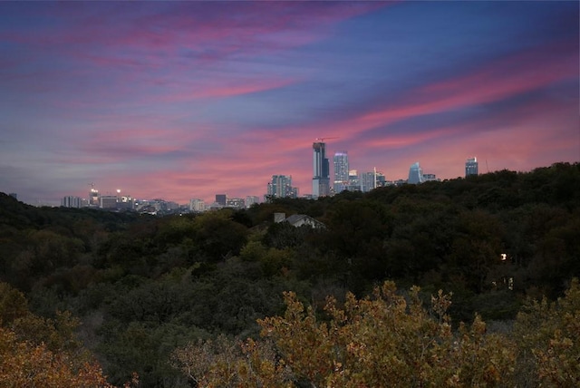1337 Spyglass Dr, Austin, TX 78746 - nature at dusk with a city view