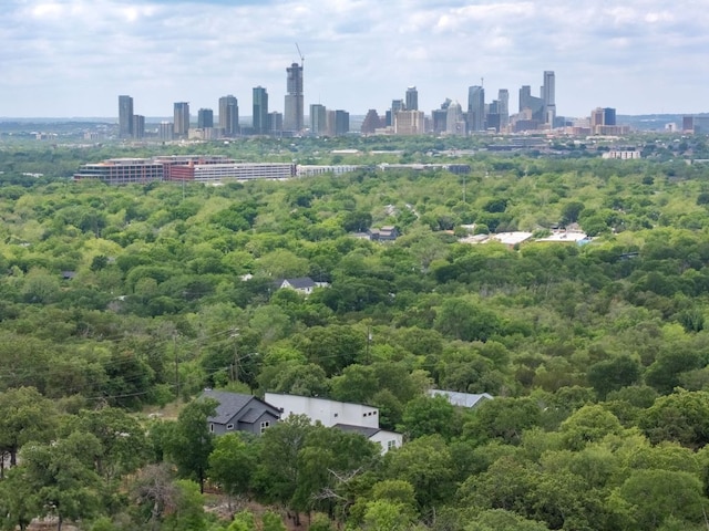 5820 Harold Ct, Austin, TX 78721 - photo 1
