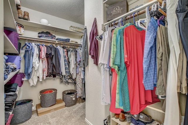 14028 Turkey Hollow Trl, Austin, TX 78717 - walk in closet featuring carpet floors