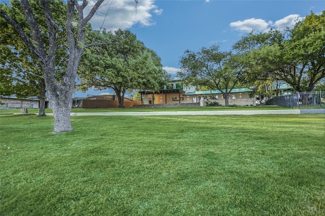1704 Bluebonnet Ln, Kingsland, TX 78639 - view of yard