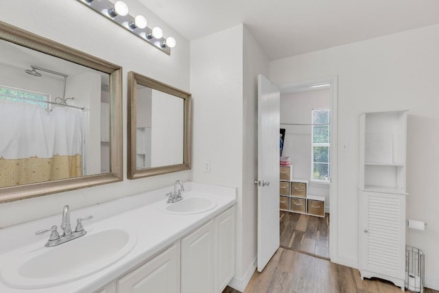 18400 Sun Haven Cv, Elgin, TX 78621 - full bathroom with wood finished floors, double vanity, and healthy amount of natural light