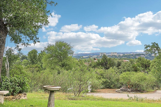418 Grace Ln, Austin, TX 78746 - view of yard featuring a view of trees