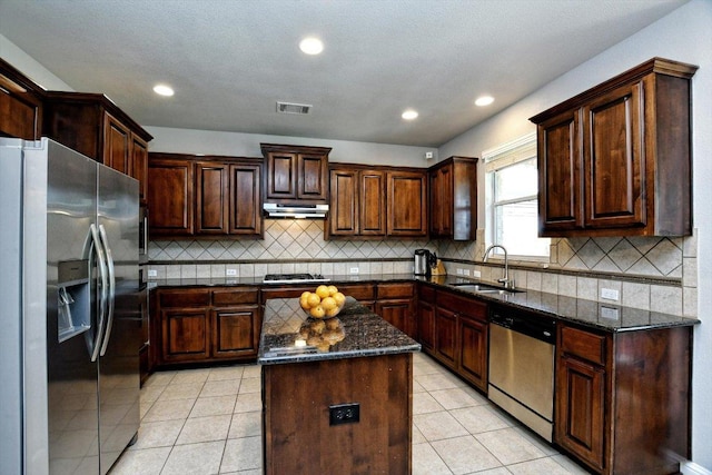 2807 Checker Dr, Cedar Park, TX 78613 - kitchen featuring appliances with stainless steel finishes, under cabinet range hood, a sink, tasteful backsplash, and dark stone counters