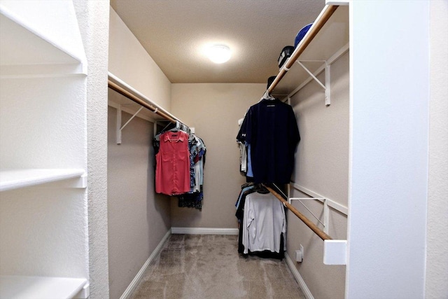 2807 Checker Dr, Cedar Park, TX 78613 - spacious closet featuring carpet flooring