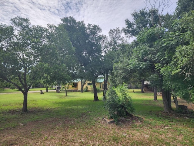 515 Country Ln, Buda, TX 78610 - view of home's community with a lawn