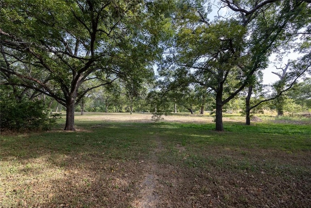 11 Meadow Run, Round Rock, TX 78664 - photo 40