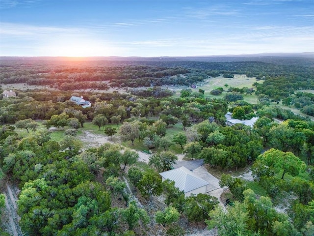 4671 Fischer Store Rd, Wimberley, TX 78676 - bird's eye view of a heavily wooded area