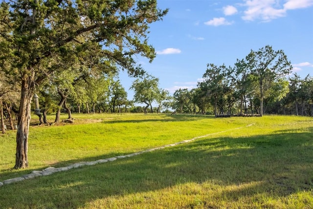 4671 Fischer Store Rd, Wimberley, TX 78676 - surrounding community featuring a yard