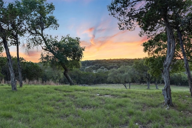 4671 Fischer Store Rd, Wimberley, TX 78676 - nature at dusk with a wooded view
