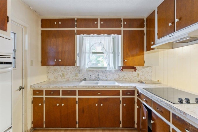 4412 Briar Cliff Rd, Temple, TX 76502 - kitchen with a sink, black electric cooktop, light countertops, and backsplash