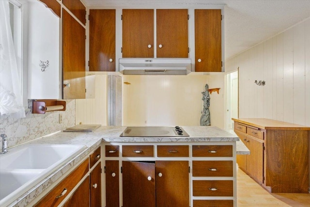 4412 Briar Cliff Rd, Temple, TX 76502 - kitchen featuring under cabinet range hood, a sink, light countertops, and electric cooktop