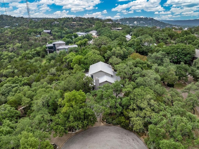 2009 S Oak Canyon Rd, Austin, TX 78746 - aerial view of a forest