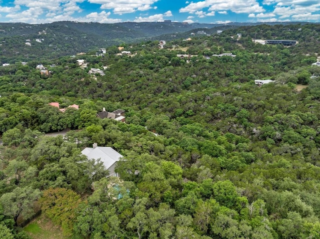 2009 S Oak Canyon Rd, Austin, TX 78746 - bird's eye view of a forest and mountains