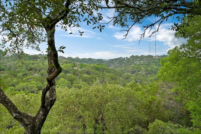 2009 S Oak Canyon Rd, Austin, TX 78746 - view of woods