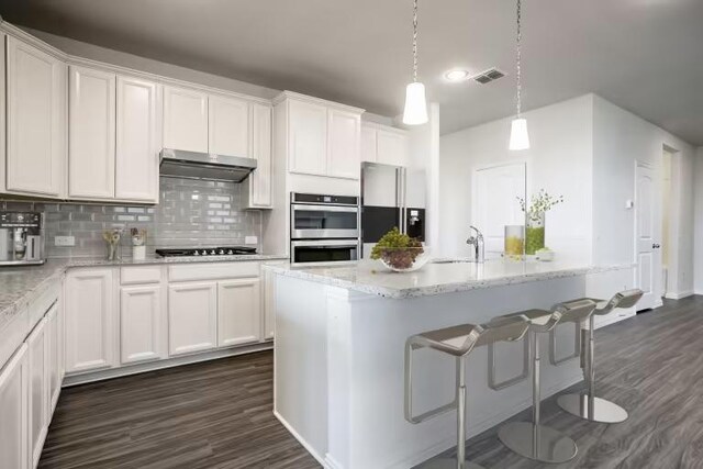 13505 Cerro Castellan Trce, Manor, TX 78653 - kitchen featuring appliances with stainless steel finishes, under cabinet range hood, dark wood-type flooring, and white cabinets