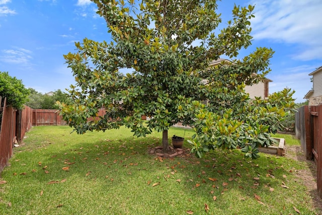 3619 Fossilwood Way, Round Rock, TX 78681 - view of fenced backyard