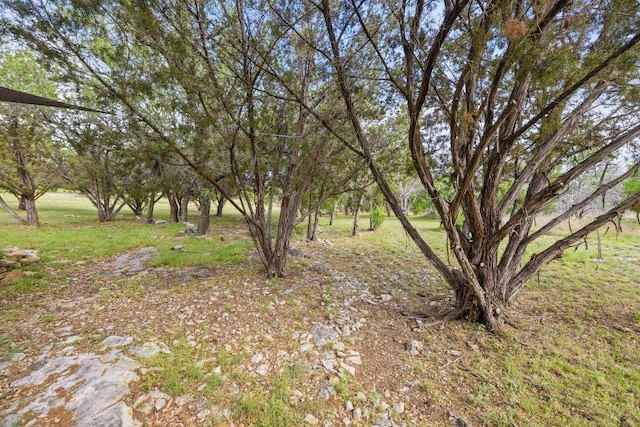 215 Maverick Cir, Horseshoe Bay, TX 78657 - view of yard