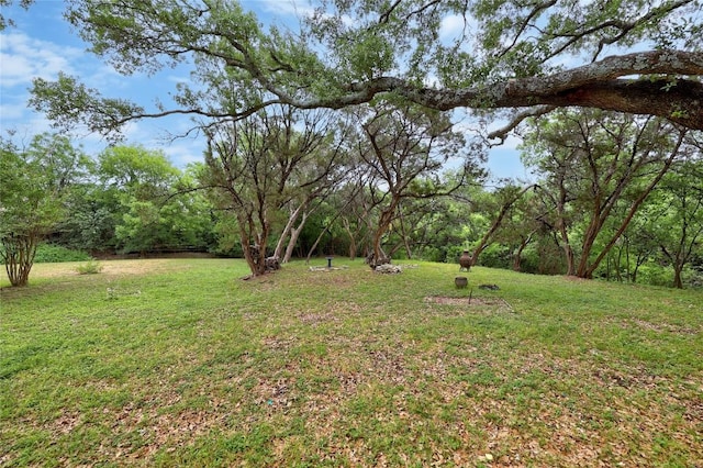 612 Tumlinson Fort Dr, Leander, TX 78641 - view of green lawn