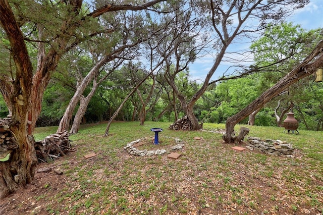 612 Tumlinson Fort Dr, Leander, TX 78641 - view of green lawn