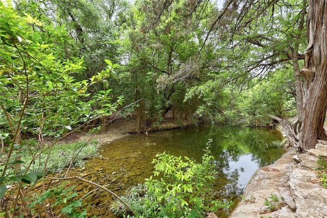 612 Tumlinson Fort Dr, Leander, TX 78641 - water view