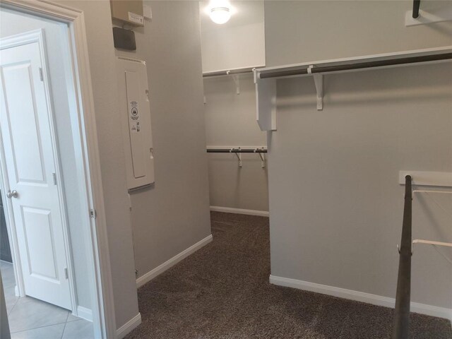 3332 Lauren Nicole Ln, Round Rock, TX 78665 - walk in closet with carpet and electric panel
