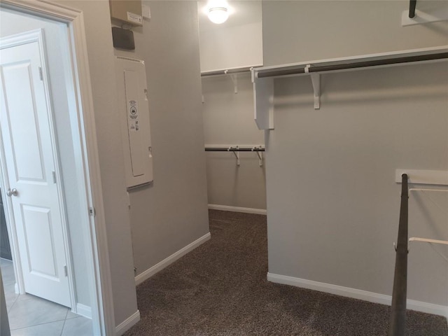 3332 Lauren Nicole Ln, Round Rock, TX 78665 - walk in closet with carpet flooring and electric panel