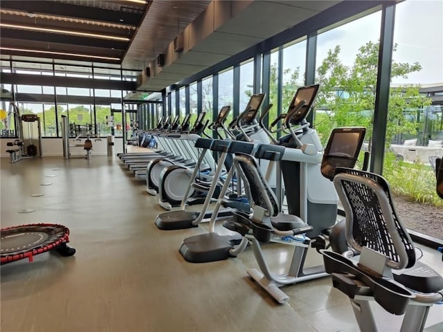 8112 Silhouette St, Austin, TX 78744 - view of workout area