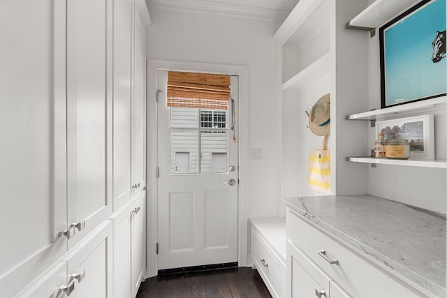 1711 Mohle Dr, Austin, TX 78703 - mudroom with crown molding and dark wood-type flooring