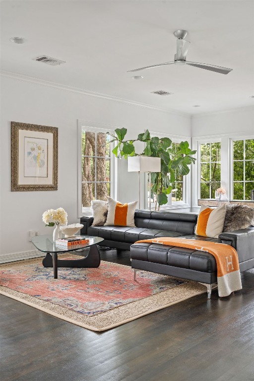 1711 Mohle Dr, Austin, TX 78703 - living room with wood finished floors, ornamental molding, and a ceiling fan