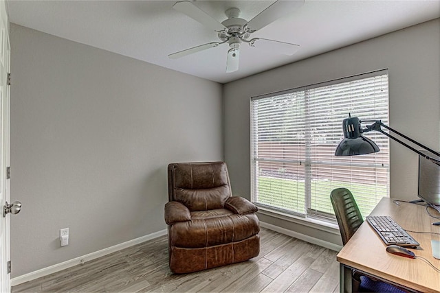 8002 Magic Mountain Cv, Round Rock, TX 78681 - office with light wood-style flooring and ceiling fan