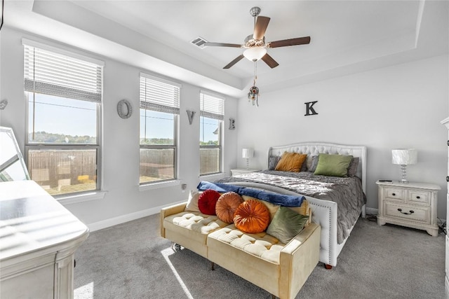306 Pulitzer Dr, Hutto, TX 78634 - bedroom featuring a tray ceiling, carpet, baseboards, and ceiling fan
