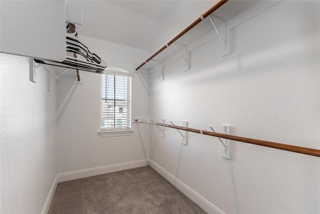 306 Pulitzer Dr, Hutto, TX 78634 - spacious closet featuring light carpet
