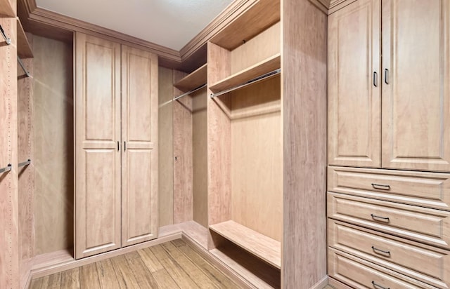 6901 W Bright Star Ln W, Austin, TX 78736 - walk in closet featuring light wood-style flooring
