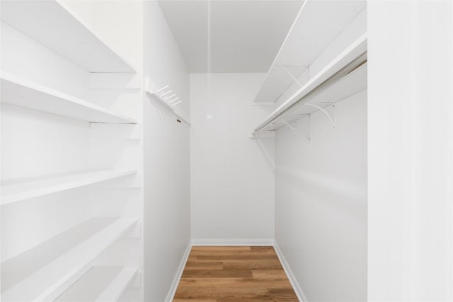 304 W Bee St, Lockhart, TX 78644 - walk in closet featuring wood finished floors