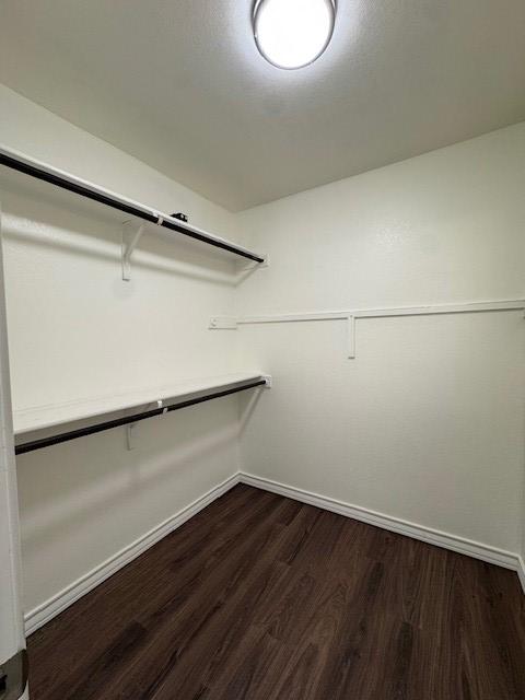 5511 Toledo Farm, San Antonio, TX 78222 - walk in closet with dark wood-style floors