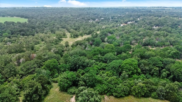 TBD Ripple Brook Dr, Bastrop, TX 78602