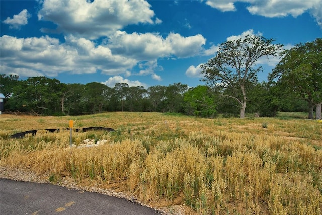 109 Grace Ln, Dale, TX 78616