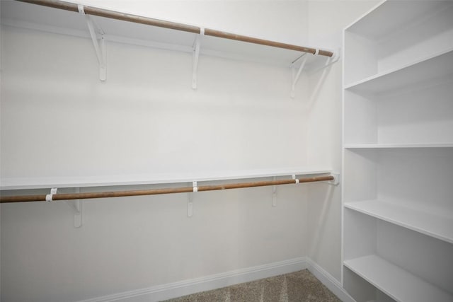 206 Skinner, Kyle, TX 78640 - spacious closet with carpet