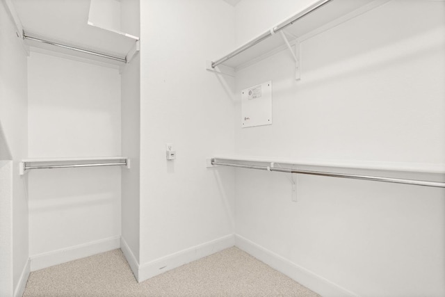 14812 Avery Ranch Blvd Unit 72, Austin, TX 78717 - walk in closet with carpet flooring