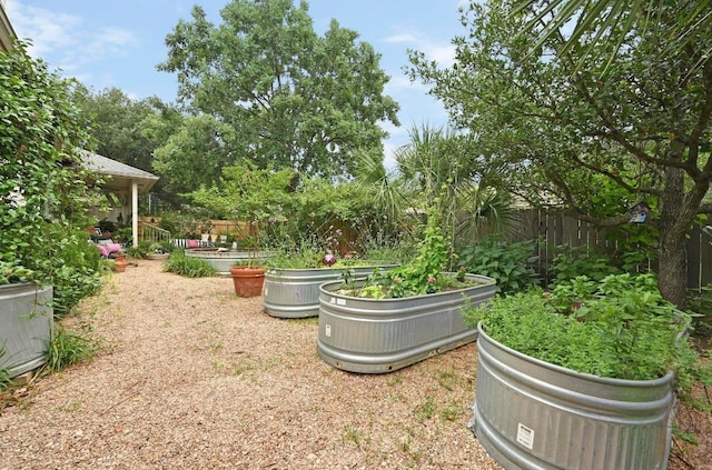 4600 Tello Path, Austin, TX 78749 - view of yard featuring a garden