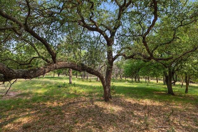 423 County Road 1010, Lampasas, TX 76550 - view of yard