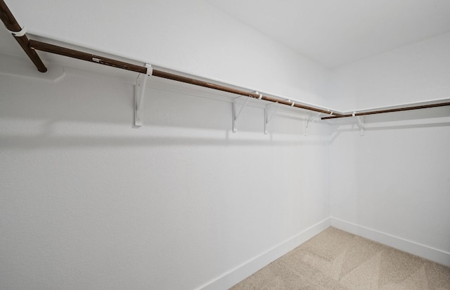 577 Tailwind Dr, Kyle, TX 78640 - spacious closet with light colored carpet