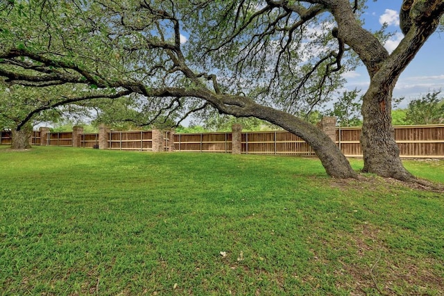 11821 Bittern Holw Unit 27, Austin, TX 78758 - view of yard